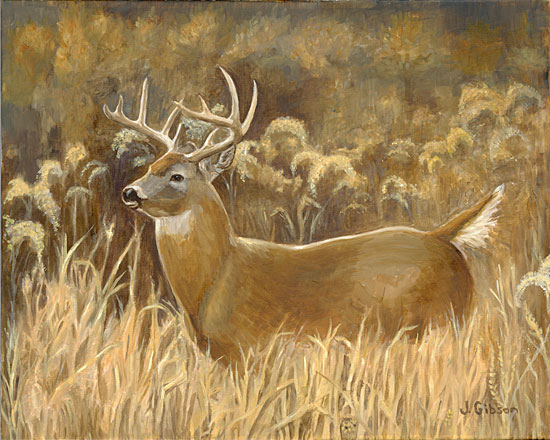 Whitetail Deer, Joyce Gibson